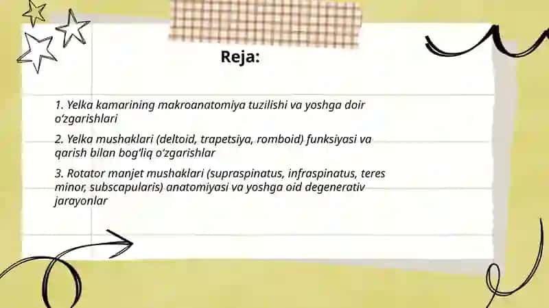 Yelka kamari va yelka mushaklari 2