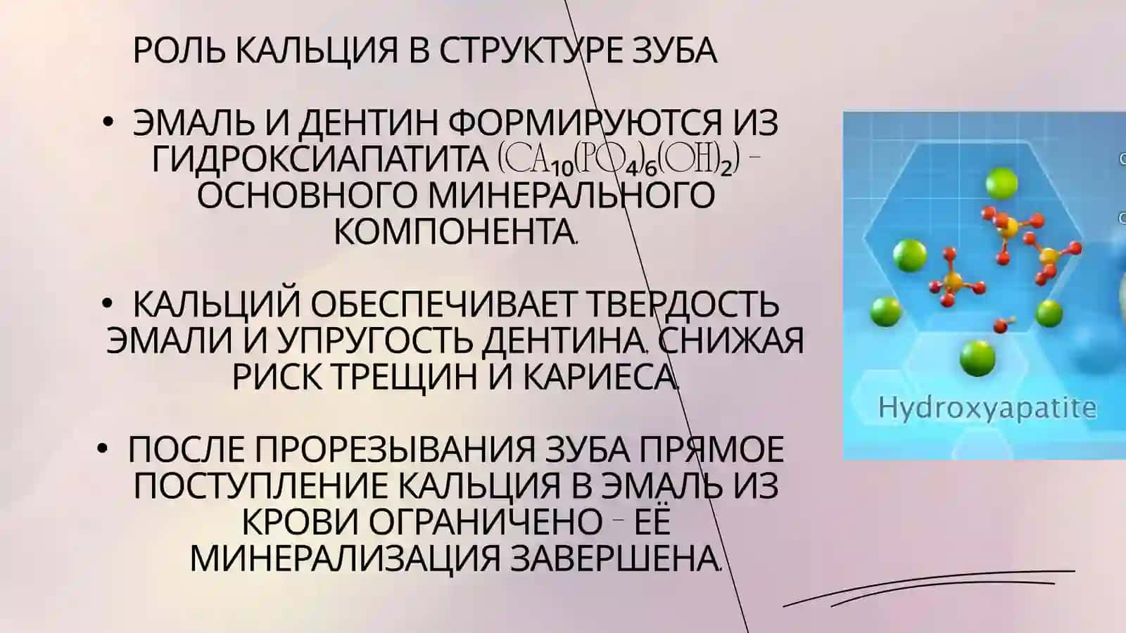 РОЛЬ КАЛЬЦИЯ В ФОРМИРОВАНИИ И РЕМИНЕРАЛИЗАЦИИ ЗУБНОЙ ЭМАЛИ 2