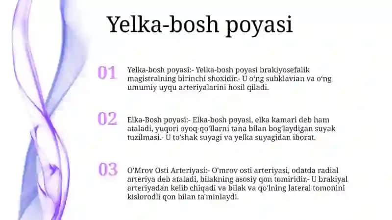 Elka-Bosh Poyasi, O'Mrov Osti Arteriyasi, Qo'Lning Qon Tomirlari 2