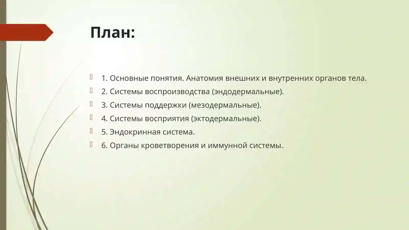 ЛЕКЦИЯ №2Тема: Структурно-функциональные отношения в системах организма человека 2