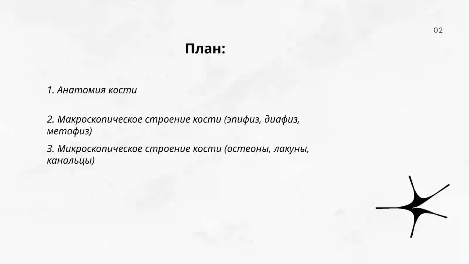 Кость 2