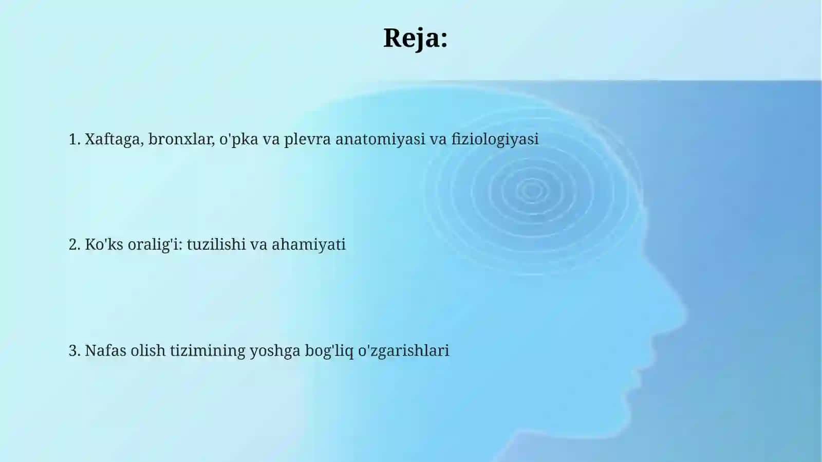 Bronxlar, oʻpka va plevra anatomiyasi 2