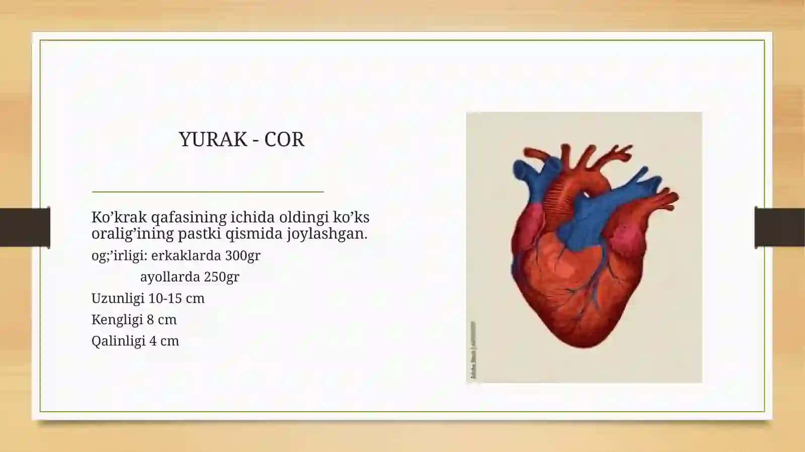 ppt 2