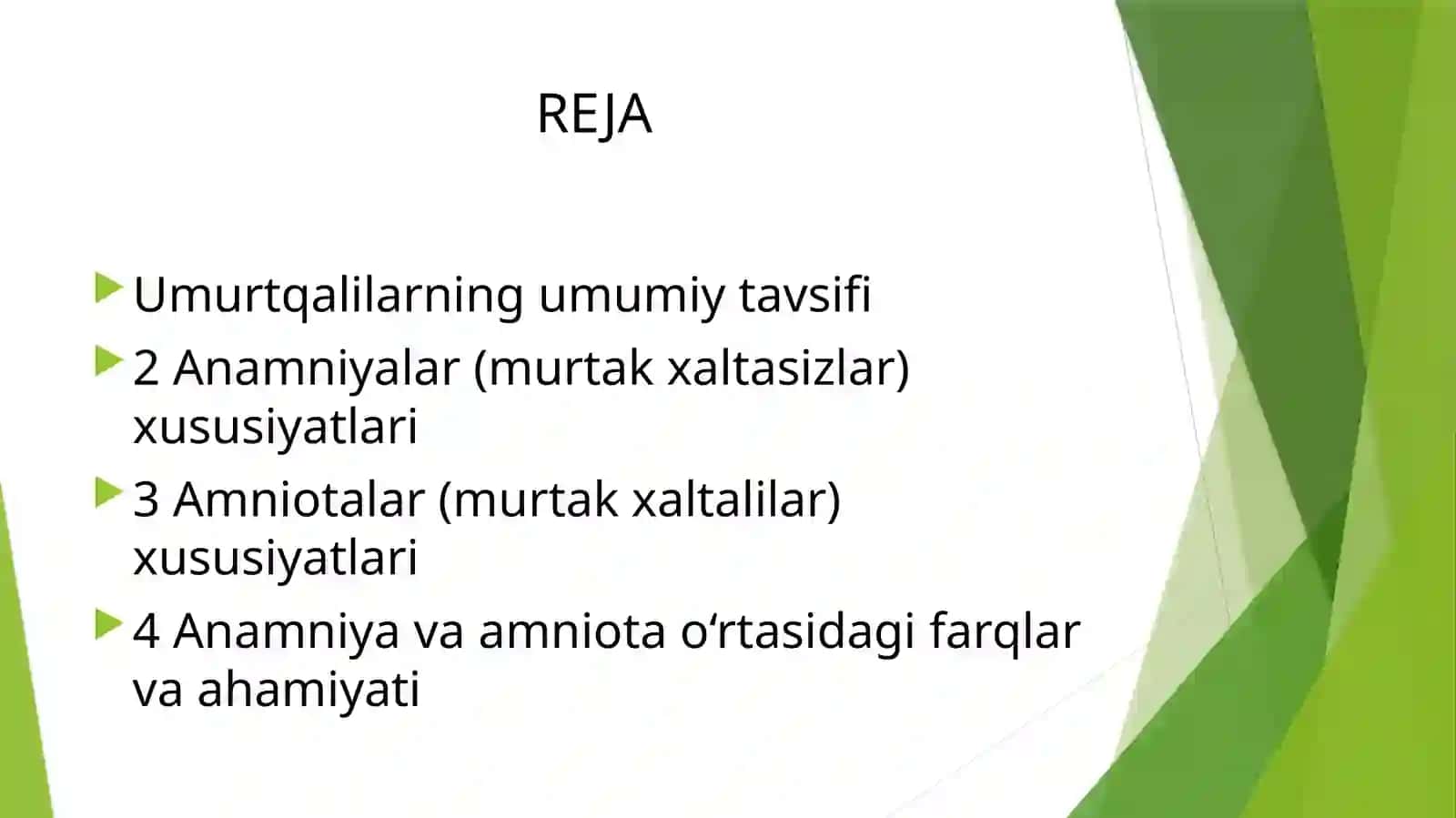 Murtakxaltasiz–Anamniyalar va Murtakxaltali–Amniotalar 2