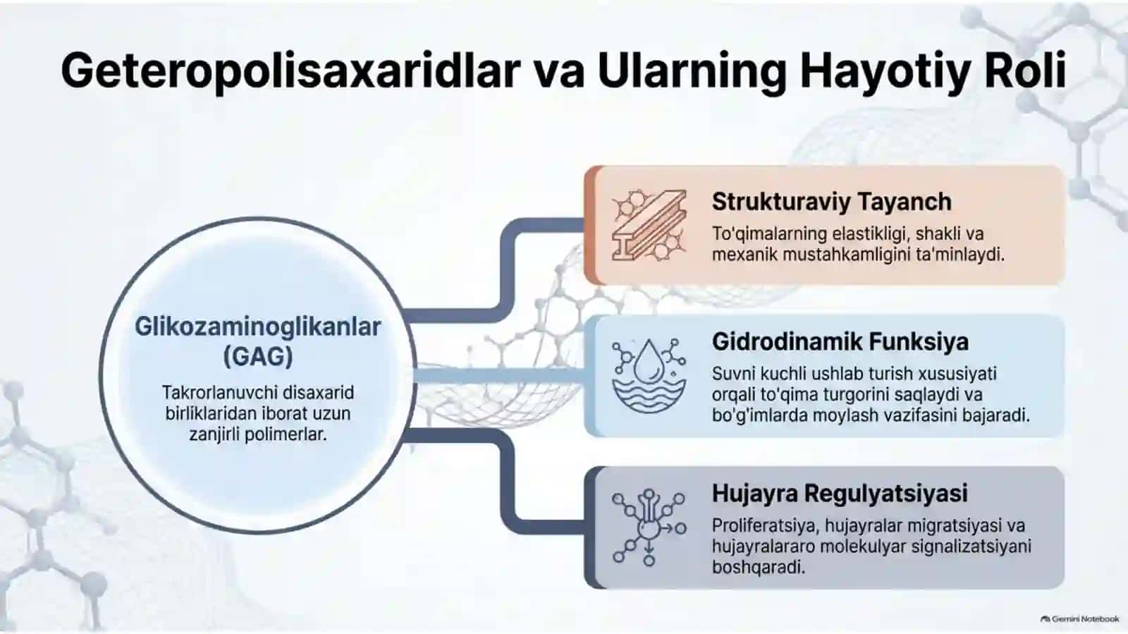 Geteropolisaxaridlarning ontogenez va kasalliklardagi o‘zgarishi — 15 slayd 2