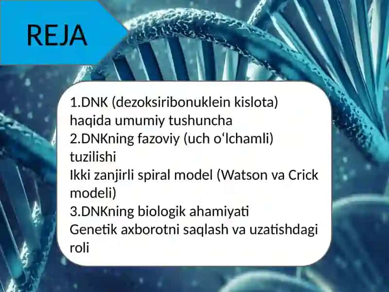 DNKSTRUKTURASI 2