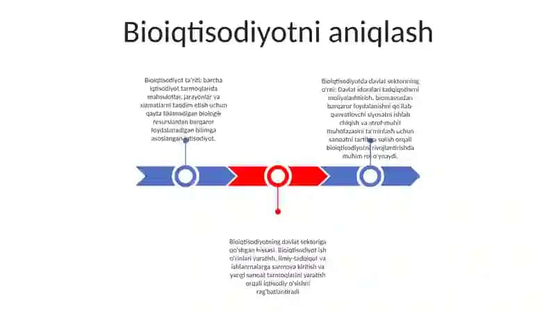 Bio Iqtisodiyotda Davlat Sektori 2