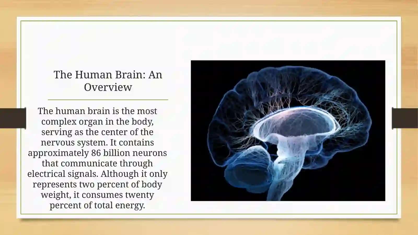 Human Brain: An Overview 2