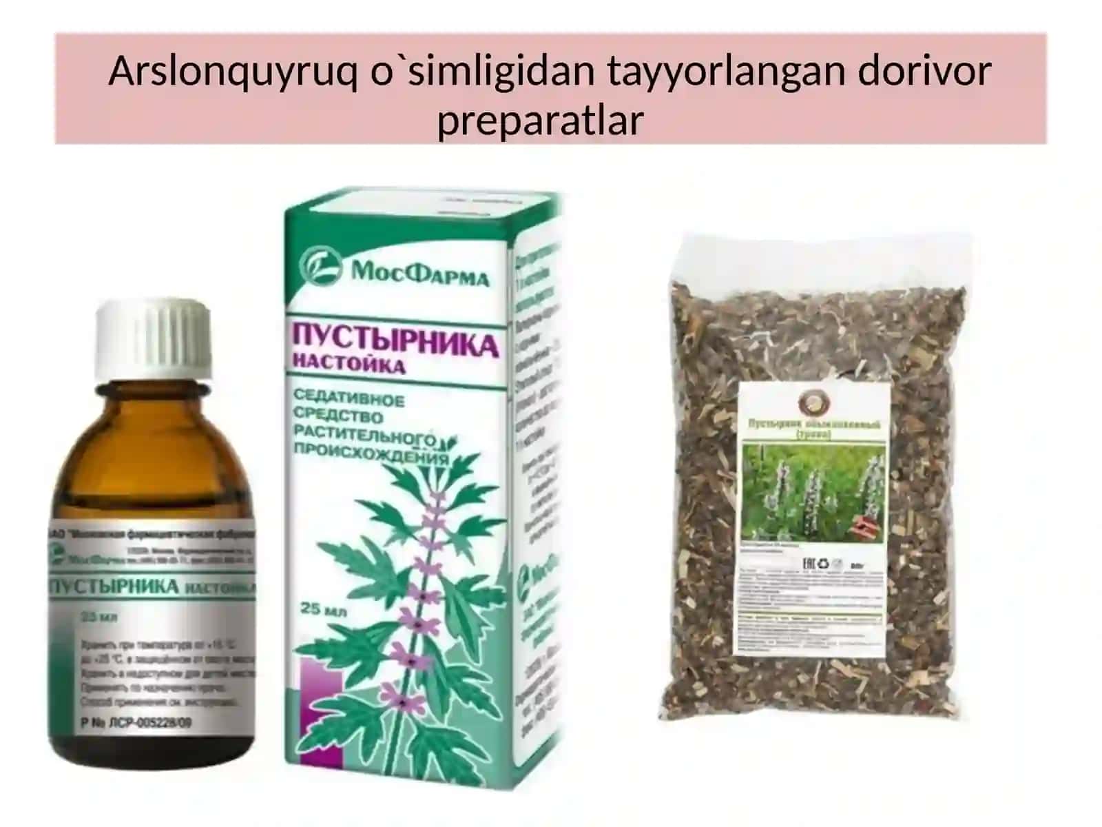 Turkiston arslonquyrug`i – Leonurus Turketaicus 2