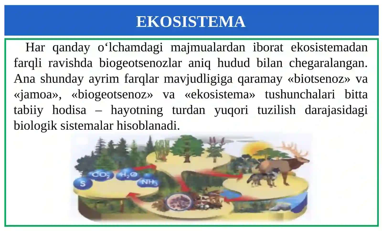 EKOSISTEMA 2