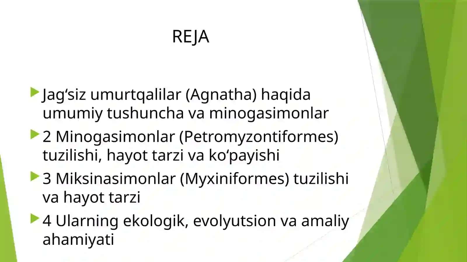 Minogasimonlar - Petpomyzontiformes va Miksinasimonlar - Myxiniformes turkumlari, ekologiyasi va ahmiyati 2