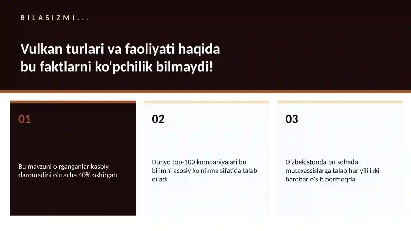 Vulkan turlari va faoliyati 2