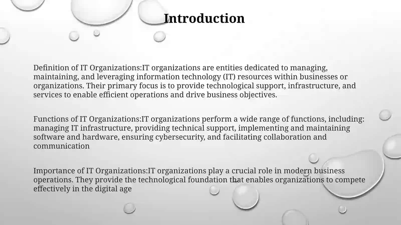 IT Organizations 2