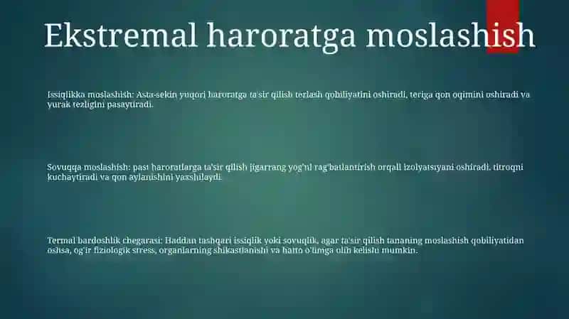 Jismpniy Yukalamalarga Adaptatsiyalanishi Va Zahira Imkoniyatlari 2