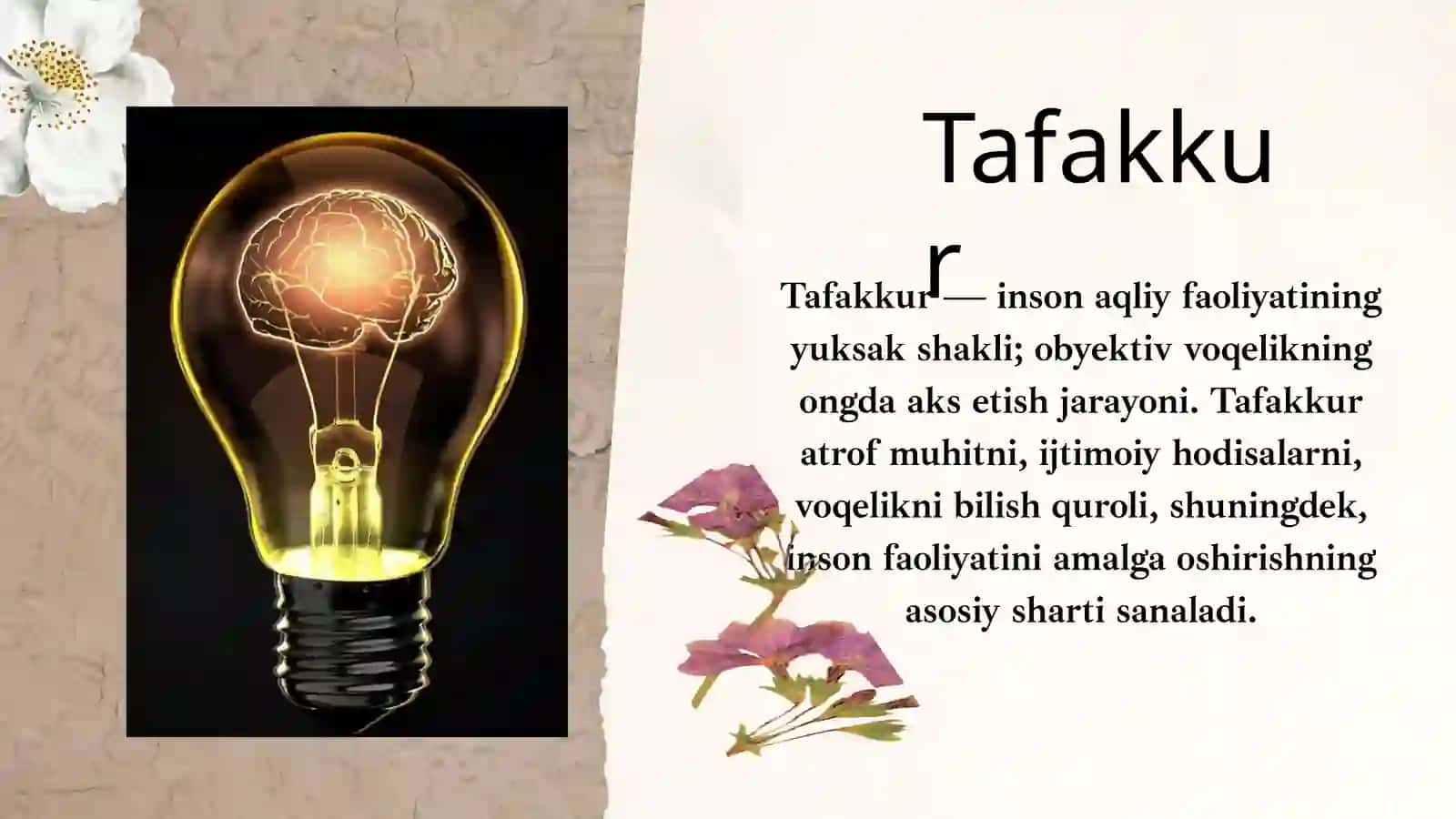 Tafakkur 2