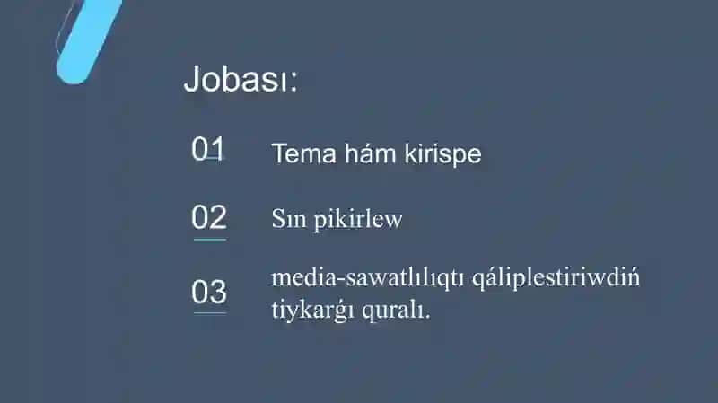Media-sawatlılıq tiykarǵı kuralı 2