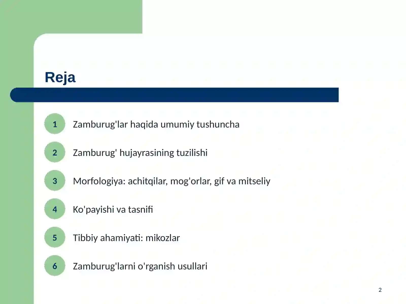 Zamburug'lar. Ularning morfologiyasi, strukturasi va ularni o'rganish usullari 2