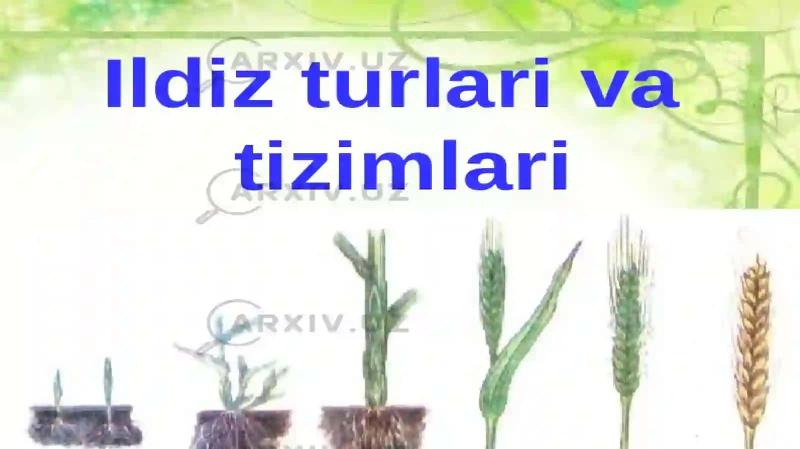 Tuproqshunoslik va Agrokimyo Taqdimoti 2