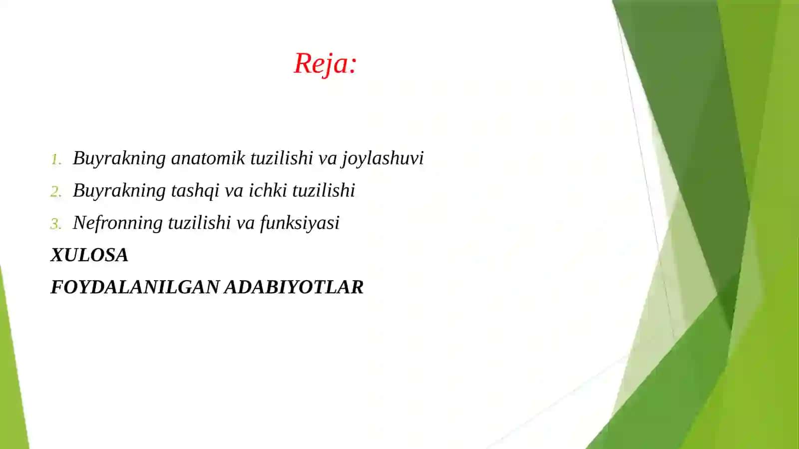 Buyrak anatomiyasi. Pielonefrit — buyrak jomi va buyrak to‘qimasining yallig‘lanishi. 2