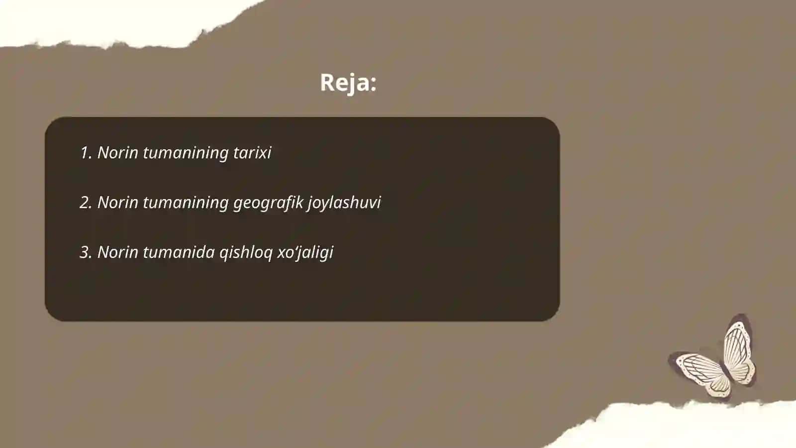 Norin tumani 2