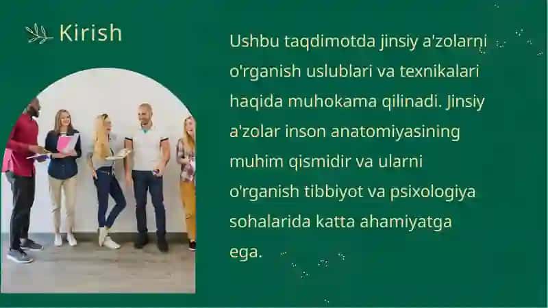 Jinsiy A'zolarni o'rganish uslublari va texnikasi 2