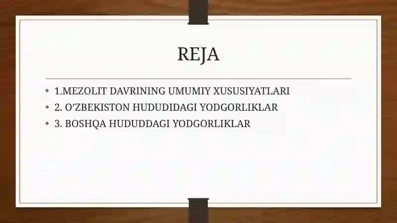 Mezolit davri manzilgohlari 2
