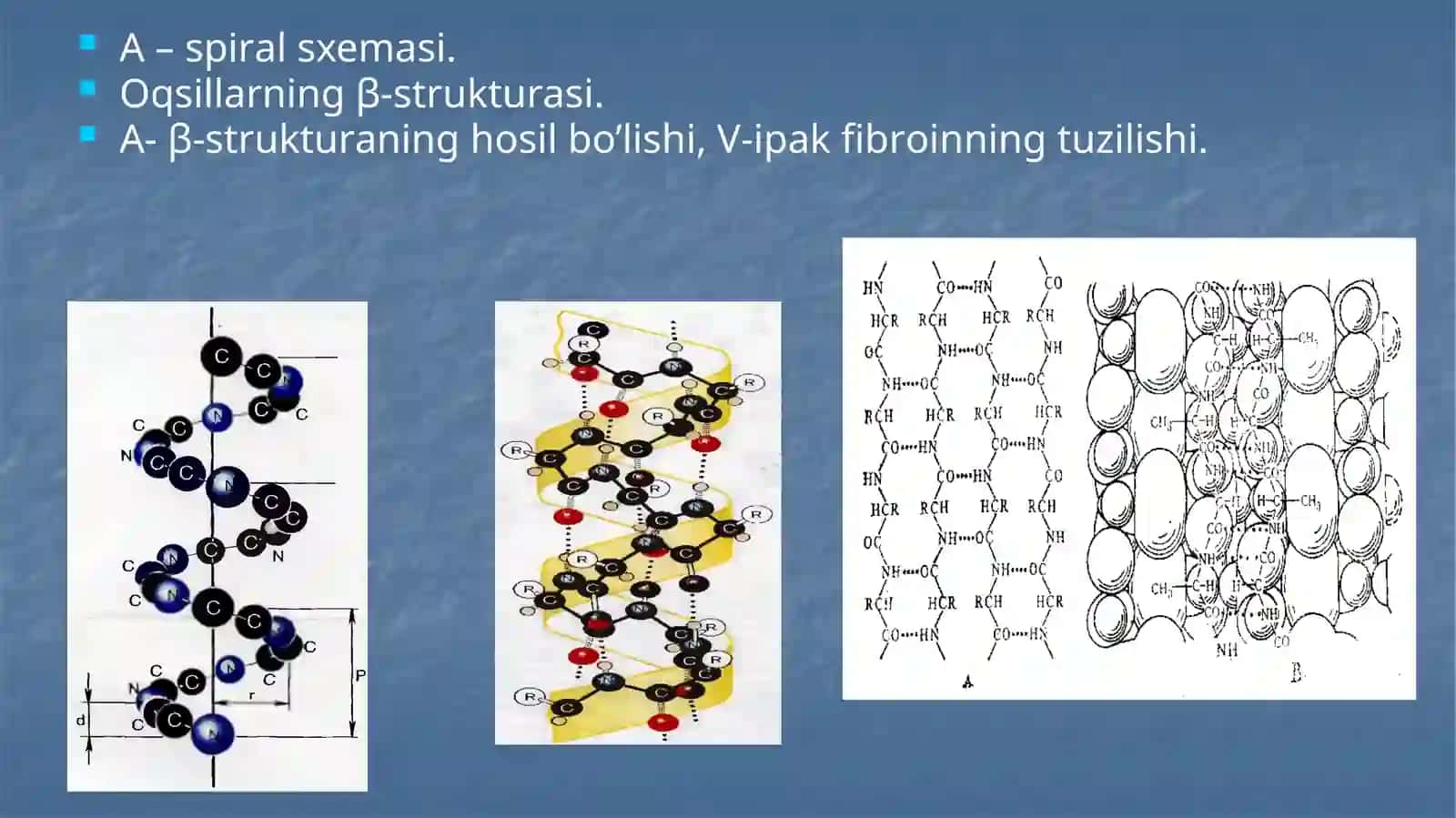 Oqsillarning birlamchi strukturasi 2