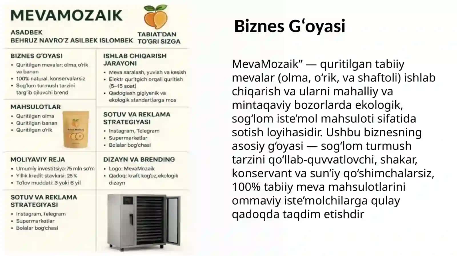 MevaMozaik 2