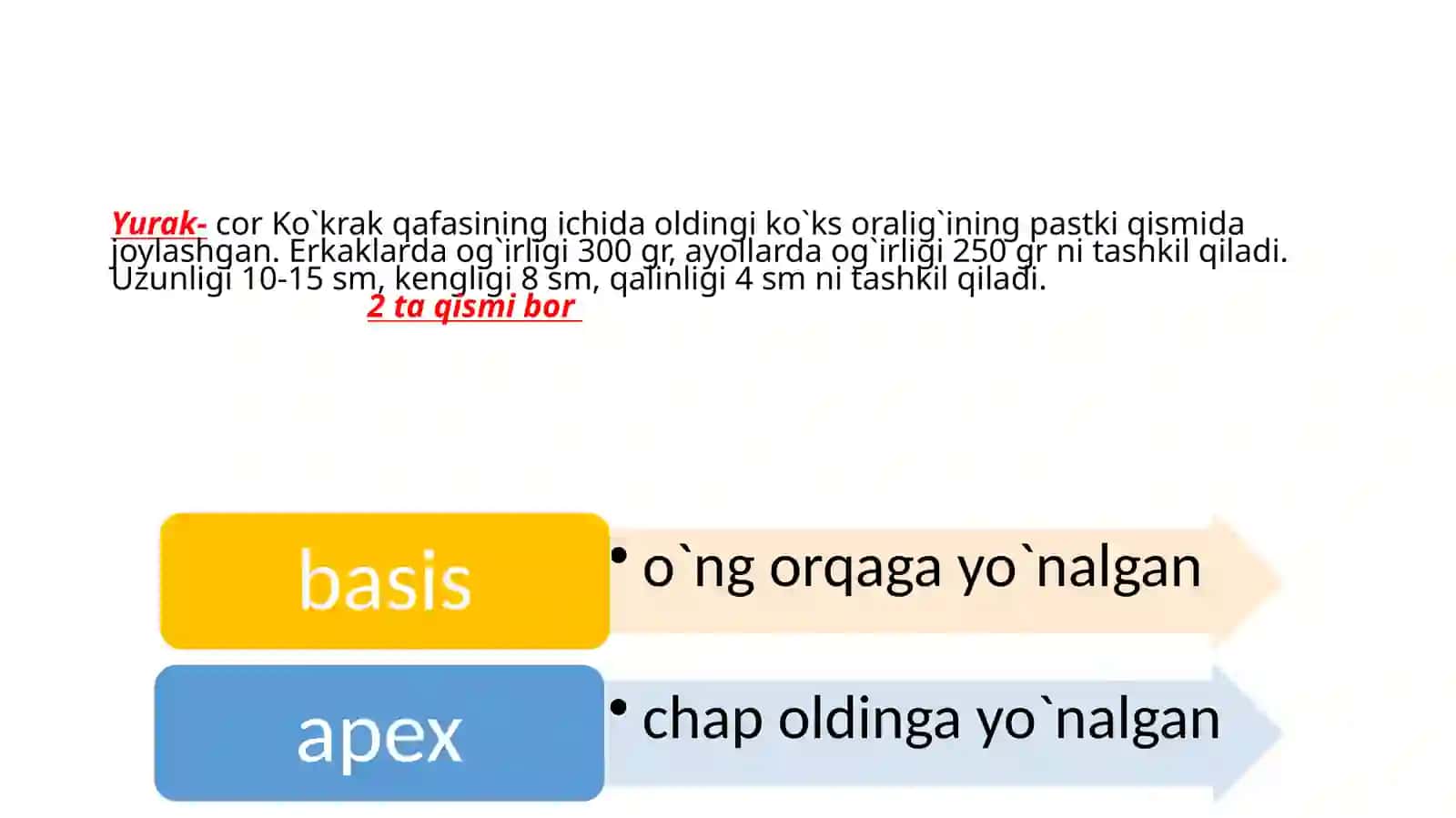 Yurak, Qon aylanish doirasi, Aorta 2