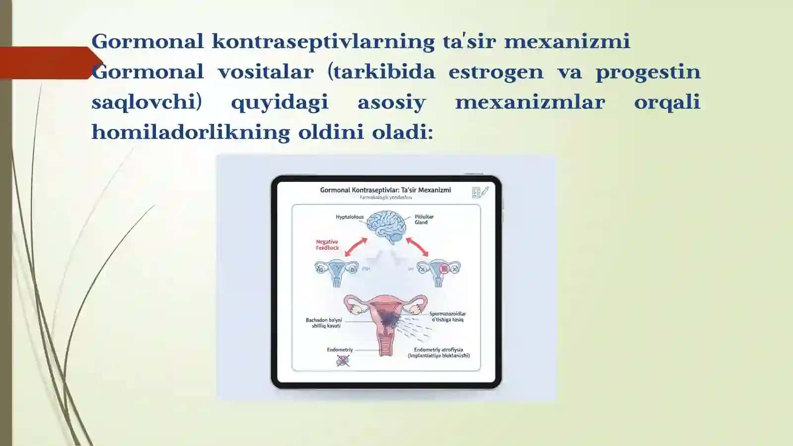Gormonal vositalar (Kontrasepsiyavositalari) 2