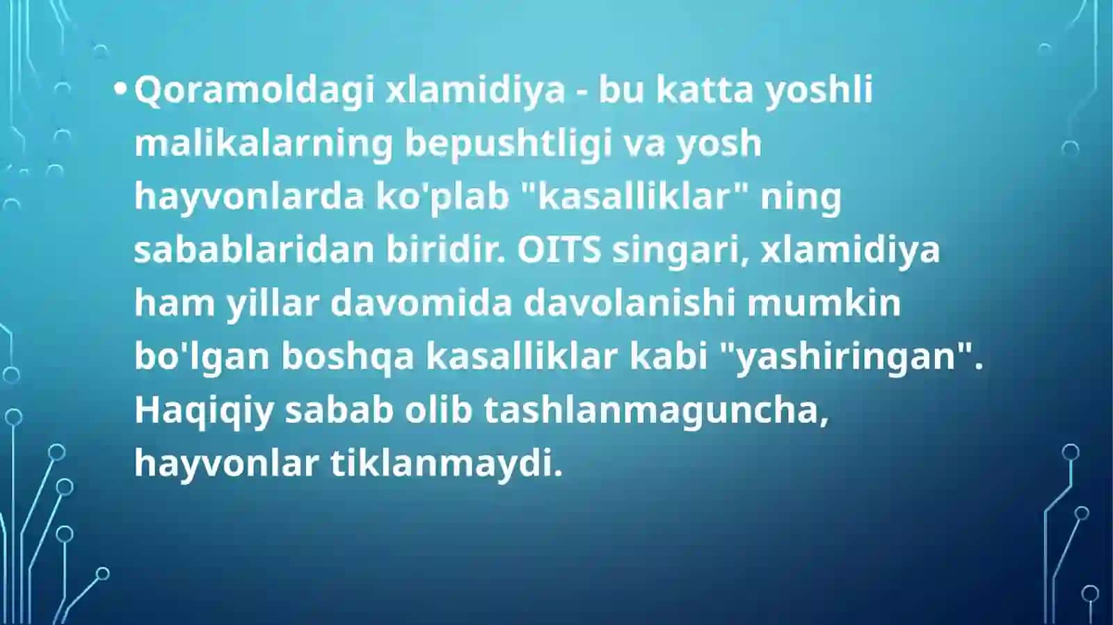 Qoramoldagi xlamidiya 2