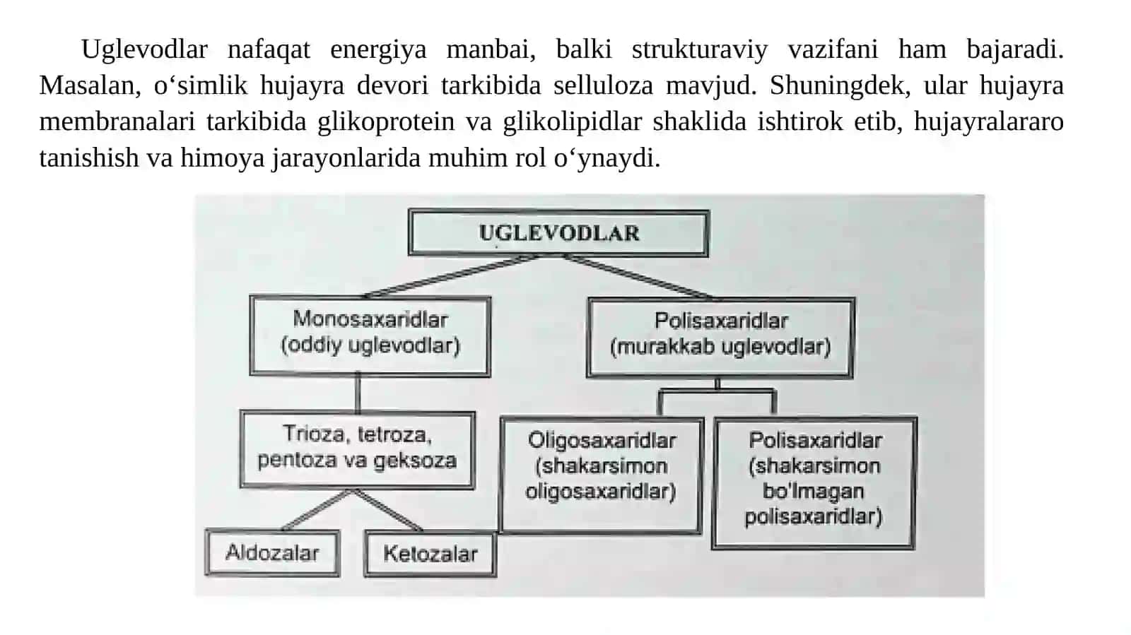 Uglevodlar 2