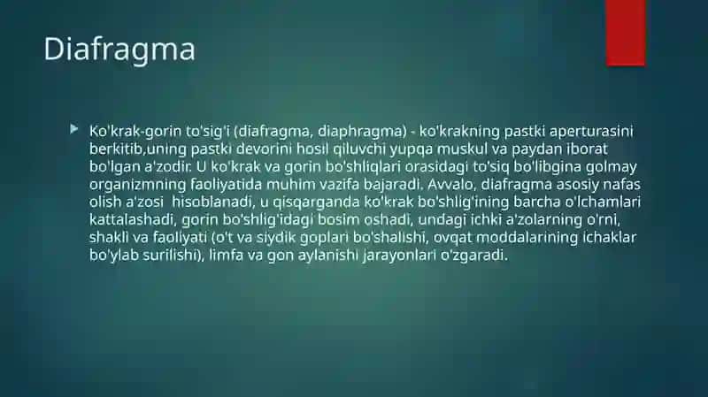Diafragma 2