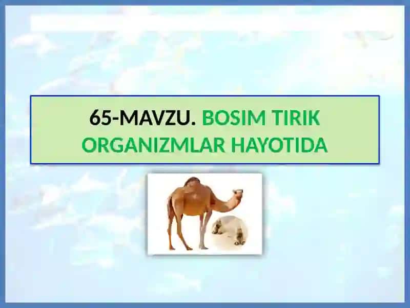 MAVZU.BOSIM TIRIK ORGANIZMLAR HAYOTIDA 2