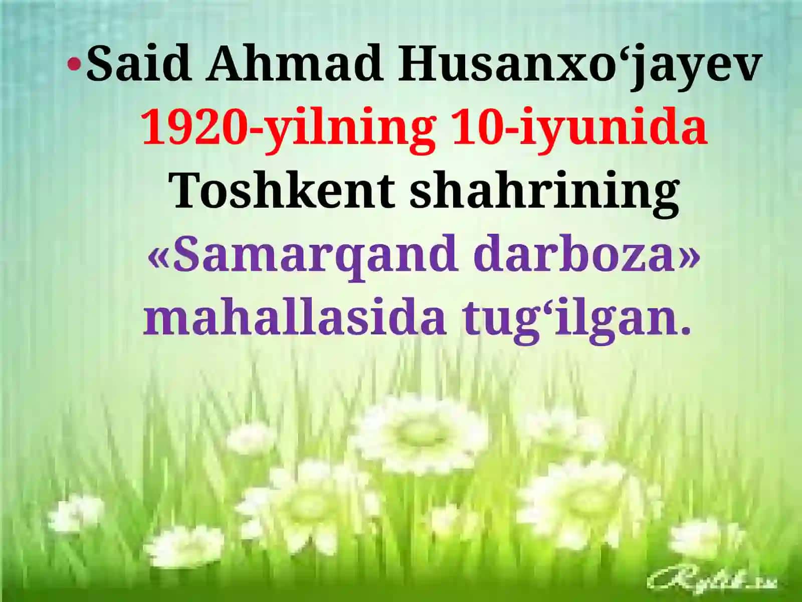 Said  Ahmd hayoti va ijodi 2