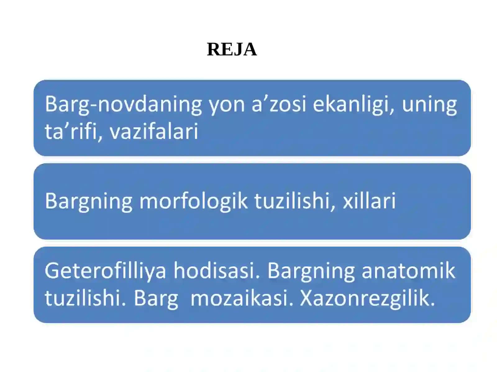 O'simliklarda bargning tuzulishi 2