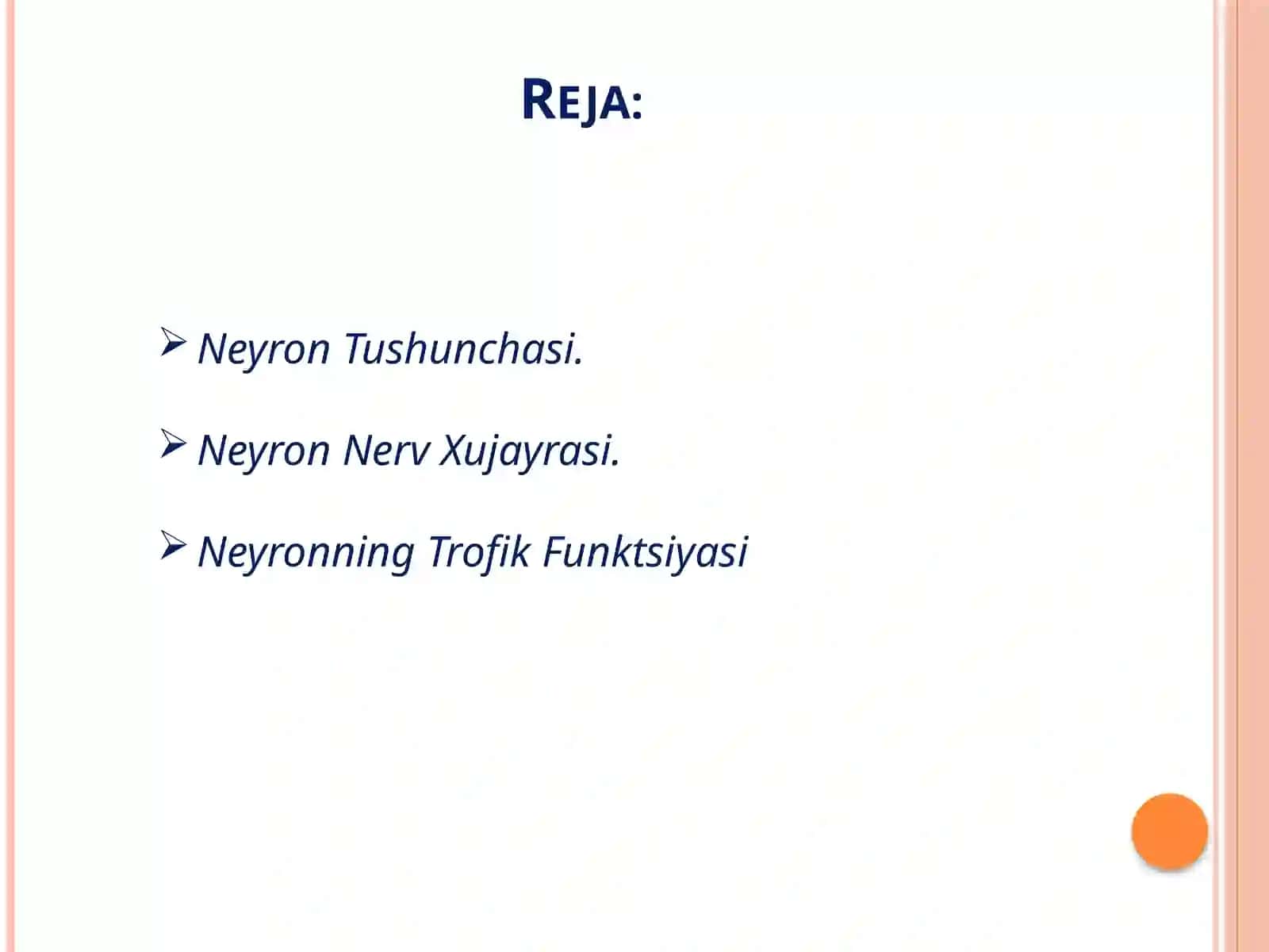 Neyron. Uning tuzilishi, funksiyasi 2