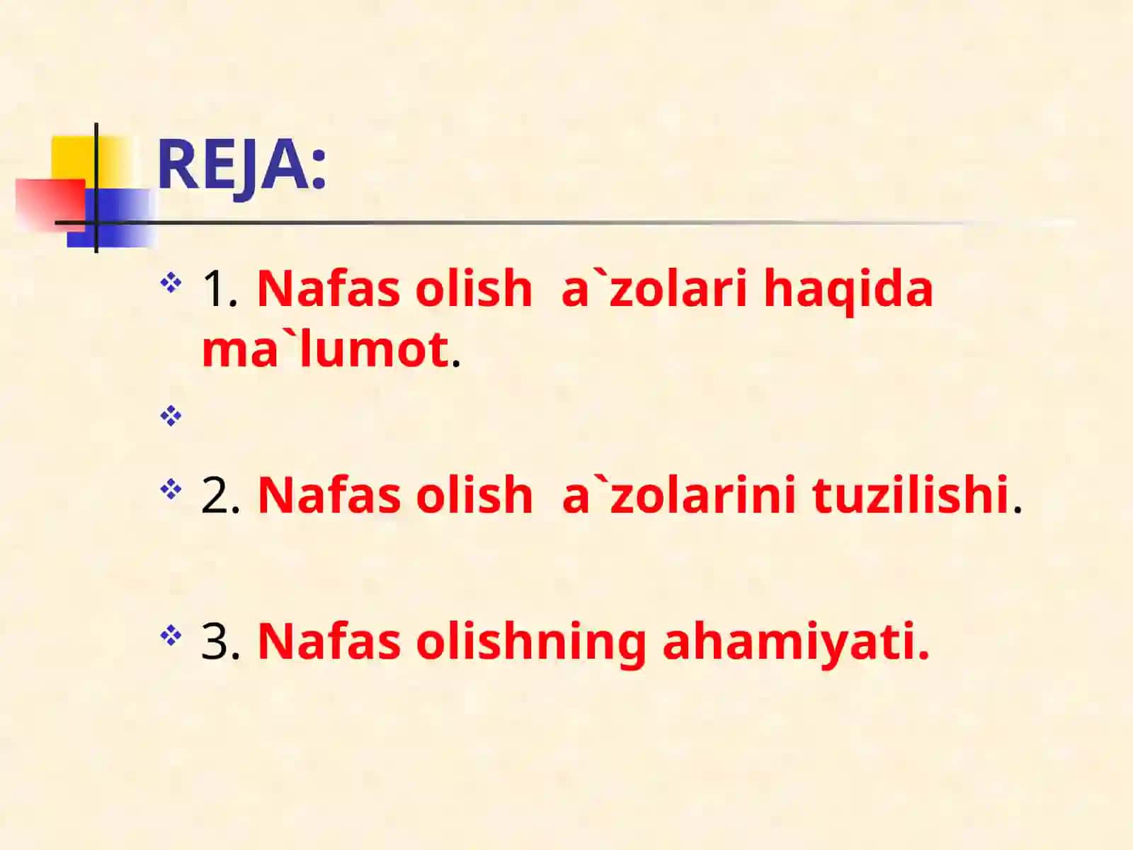 Nafas olish a’zolari tizimining funksional anatomiyasi 2