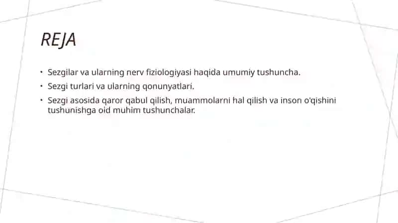 Sezgilar va ularning nerv fiziologiyasi 2
