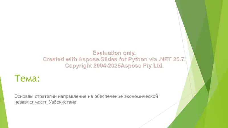 Основвы стратегии направление на обеспечение экономической независимости Узбекистана 2