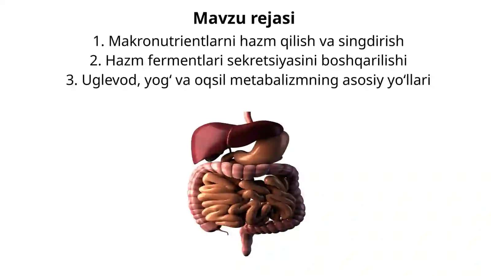 HAZM TIZIMI FIZIOLOGIYASI 2