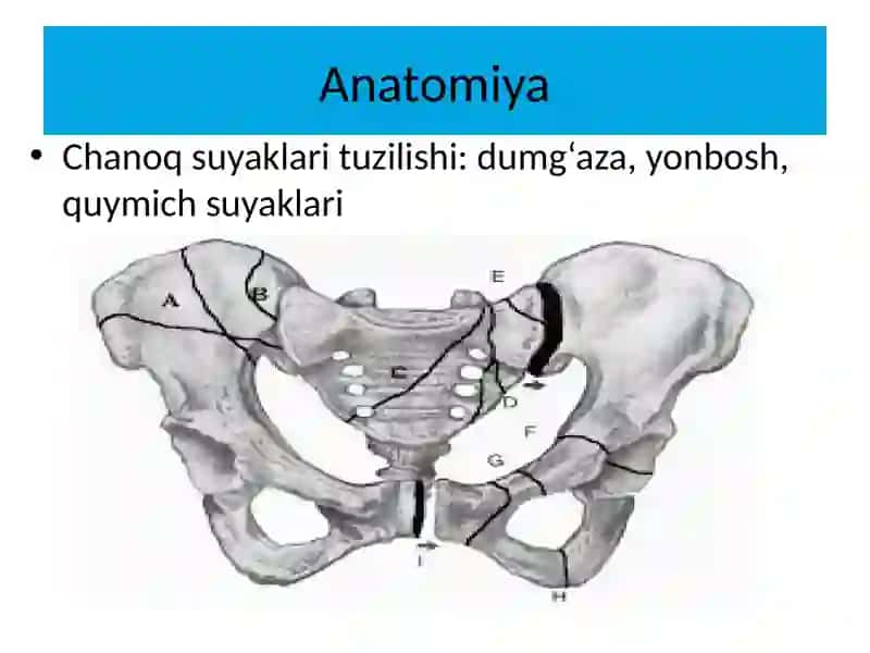 Chanoq suyaklarini jarohatlari. Klinikasi, birinchi yordam ko‘rsatish, transportirovkasi va davolash 2