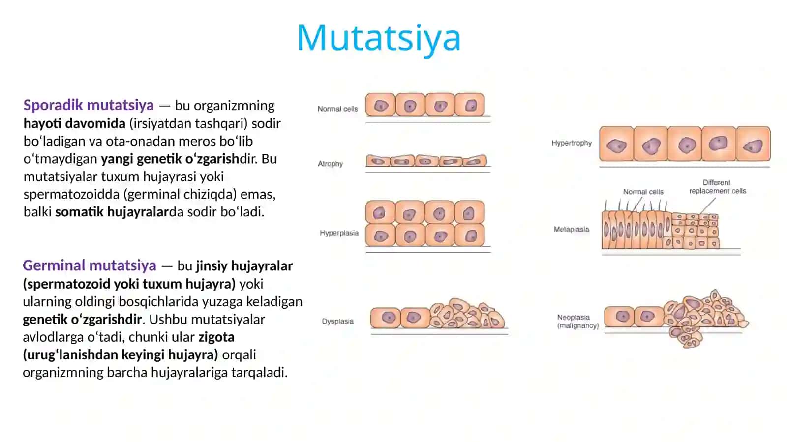 PATOLOGIYA NEOplaziya 1-qism 2