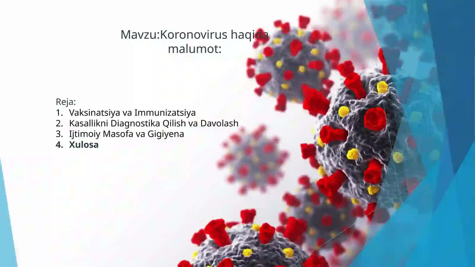Koronovirushaqidamalumot 2