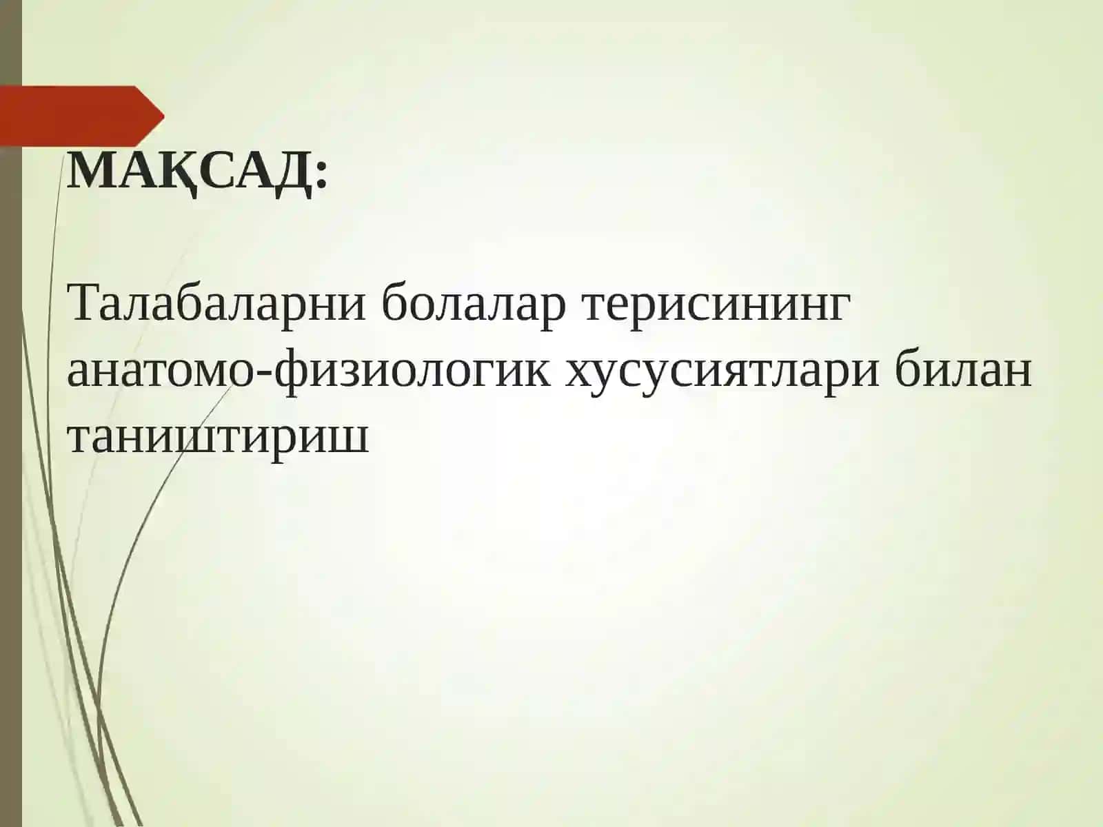Тери ва тери ости ёғ тўқимаси 2