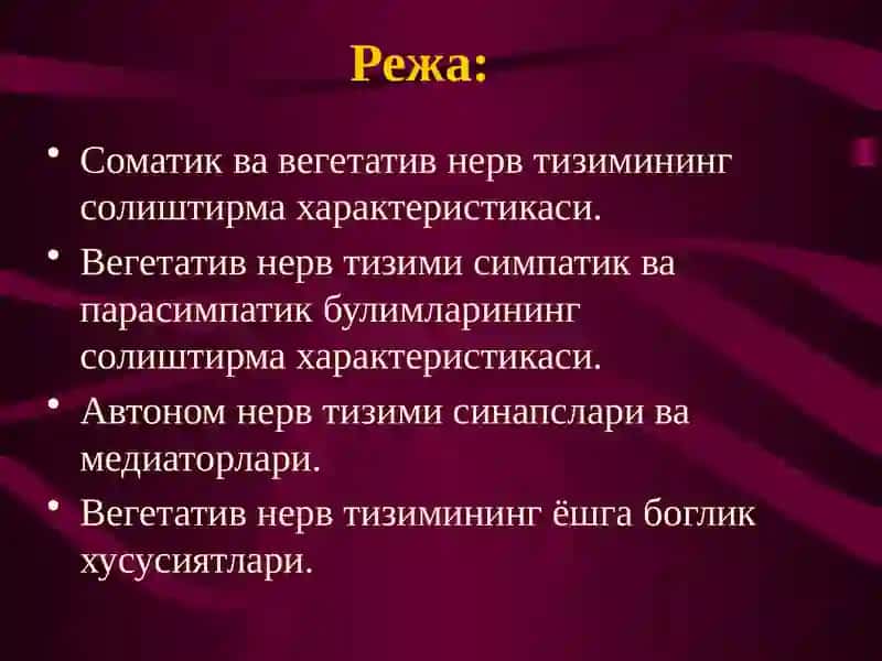 Вегетатив невртизм фаолияти 2