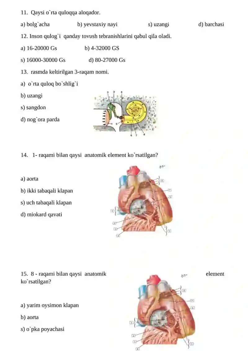 Anatomiya, fiziologiya va patalogiya fanidan II-semestr uchun yakuniy test savollari 2