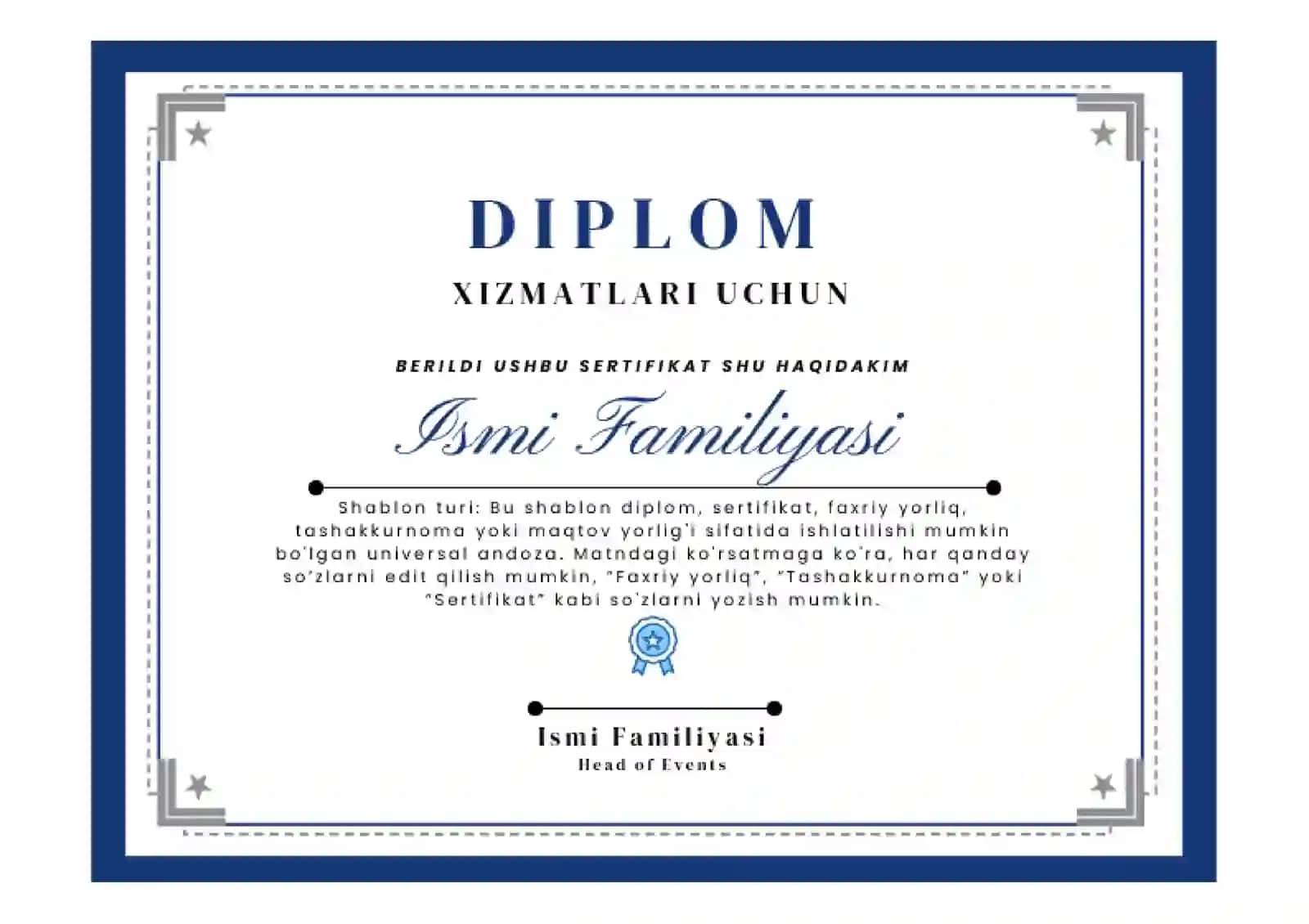 DIPLOM 2