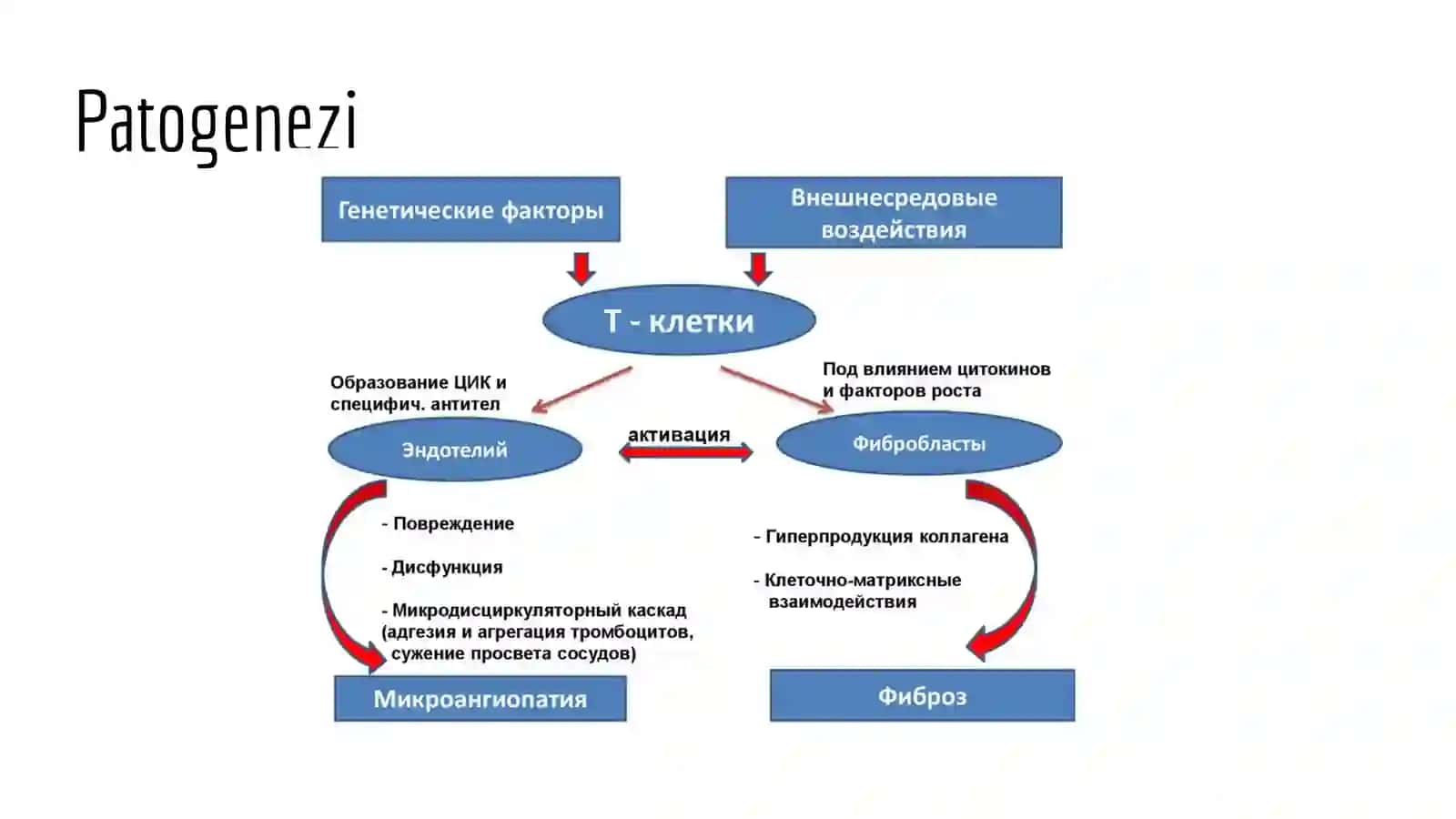 Tizimli sklerodermiya (1-variant) 2