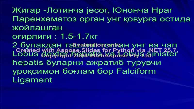 Жигар, Ут қопи анатомияси, физиологияси ва патологияси 2